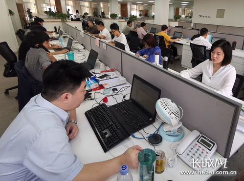 从公积金服务到政务全场景 神玥软件的网络技术服务拓展之路